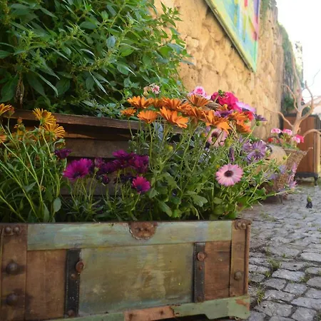 Hotell Mahzen (adults Only) 2*