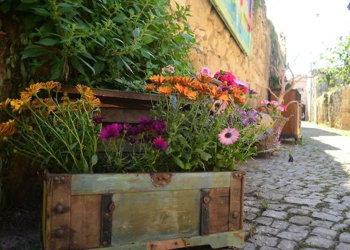 Hotel Mahzen (adults Only) 2*